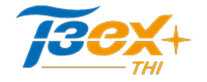 Cover image for THI/T3EX - T.H.I Group 